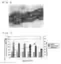 Fig. 03 - Cartilage composition for transplantation