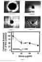 Fig. 08 - Method for restoration of gap junctional intercellular connection