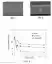 Fig. 04 - Method for manufacturing metallic microstructure