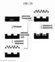 Fig. 04 - Method for focusing patterning nano-sized structure