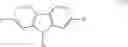 Fig. 09 - 9-aryl and bisaryl substituted polyfluorenes