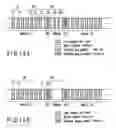 Fig. 07 - Pattern layout for forming integrated circuit