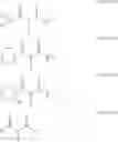 Fig. 24 - Stabilized silver halide photographic element