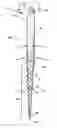 Fig. 01 - Endododontic file with multi-tapered flutes