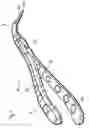 Fig. 02 - Dental forceps