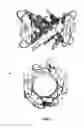 Fig. 04 - Three dimensional model for protein or part of protein structure