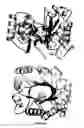 Fig. 10 - Three dimensional model for protein or part of protein structure