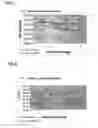 Fig. 02 - Composition using HMW dextran and method for in vitro preservation of corneal tissues