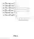 Fig. 12 - Method to confer cell culture replication activity to different Hepatitis C virus isolates