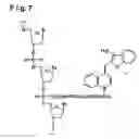 Fig. 08 - Oligonucleotide for detection of HIV-1 and detection method