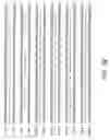 Fig. 08 - Polynucleotide probe and primer derived from hepatitis E virus recovered from japanese, chip including the same, kit including the same, and method of detecting hepatitis E virus genome using the same