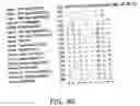 Fig. 22 - Polynucleotide probe and primer derived from hepatitis E virus recovered from japanese, chip including the same, kit including the same, and method of detecting hepatitis E virus genome using the same