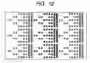Fig. 08 - Probe carrier and method for quantifying target substance using the probe carrier