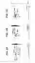 Fig. 03 - Mutant of homoserine dehydrogenase from and DNA encoding thereof