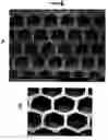Fig. 07 - Thin film coated microwell arrays