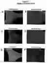 Fig. 02 - Thin film coated microwell arrays and methods of using same