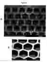Fig. 07 - Thin film coated microwell arrays and methods of using same