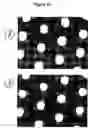Fig. 33 - Thin film coated microwell arrays and methods of using same