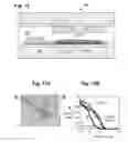 Fig. 12 - System and method for electronic sensing of biomolecules