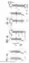 Fig. 02 - Hybridization chain reaction amplification for in situ imaging
