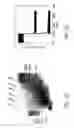 Fig. 03 - Hybridization chain reaction amplification for in situ imaging