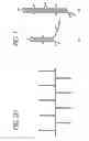 Fig. 05 - Hybridization chain reaction amplification for in situ imaging