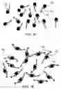 Fig. 12 - Multiplex assay systems