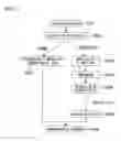 Fig. 03 - Blood testing method, nucleic acid extraction method, and nucleic acid extraction device