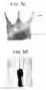 Fig. 06 - Arrays formed of encoded beads having oligonucleotides attached