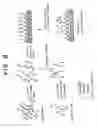 Fig. 10 - Arrays formed of encoded beads having oligonucleotides attached