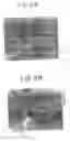 Fig. 03 - Light-controlled electrokinetic assembly of particles near surfaces