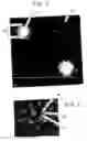 Fig. 08 - Light-controlled electrokinetic assembly of particles near surfaces