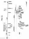 Fig. 03 - DB, the receptor for leptin, nucleic acids encoding the receptor, and uses thereof