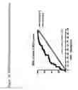 Fig. 22 - Analysis of MHC-peptide binding interactions