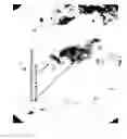 Fig. 04 - Compositions and methods for preparing specimens for microscopic analysis