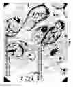 Fig. 05 - Compositions and methods for preparing specimens for microscopic analysis