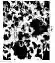 Fig. 06 - Compositions and methods for preparing specimens for microscopic analysis