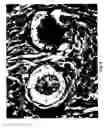 Fig. 07 - Compositions and methods for preparing specimens for microscopic analysis
