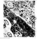 Fig. 09 - Compositions and methods for preparing specimens for microscopic analysis