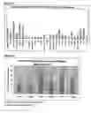 Fig. 23 - Differential expression of nucleic acid molecules