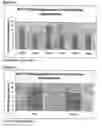 Fig. 26 - Differential expression of nucleic acid molecules
