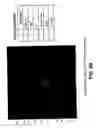 Fig. 07 - Chromatographic method and system for purifying a botulinum toxin