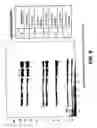 Fig. 08 - Chromatographic method and system for purifying a botulinum toxin