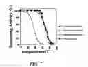 Fig. 08 - L-glutamate oxidase