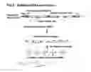 Fig. 07 - Novel Transgenic Methods Using intronic RNA