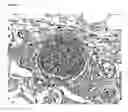 Fig. 07 - Method for histoprocessing