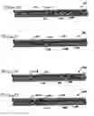 Fig. 04 - Nonwoven polymeric fiber mat composites and method
