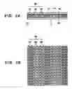 Fig. 03 - Method of producing display panel and display panel