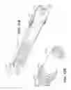 Fig. 35 - Telescoping drive shaft for a model vehicle