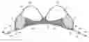 Fig. 01 - Cleavage-enhancing foundation garment